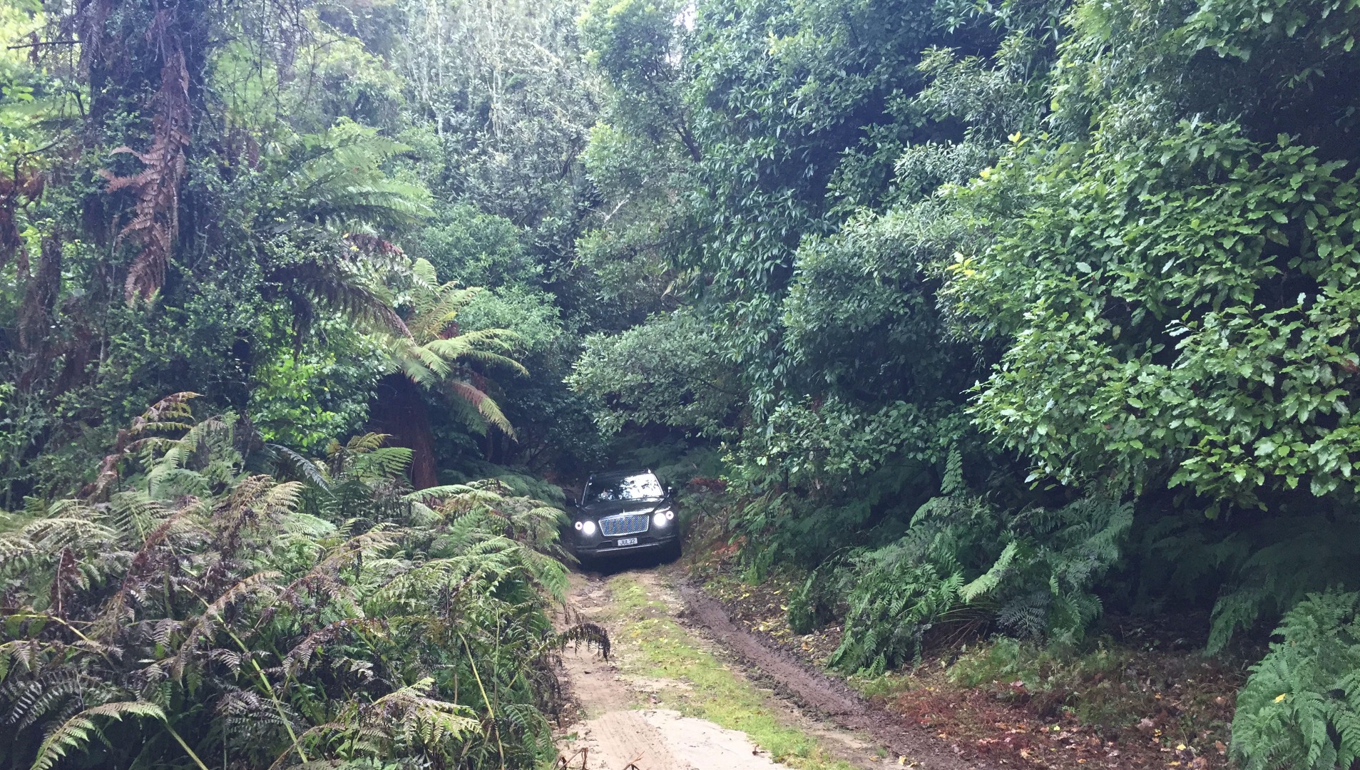 Off Road 2